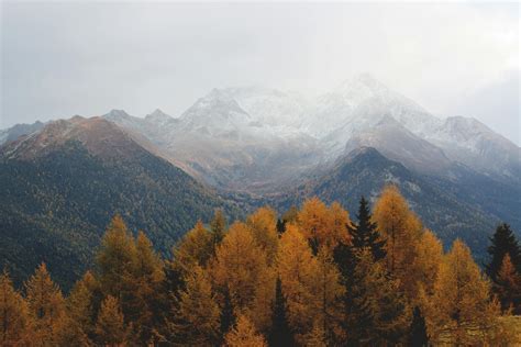 yurtdisi-dil-okullari-icin-dil-ogrenme-yontemleri