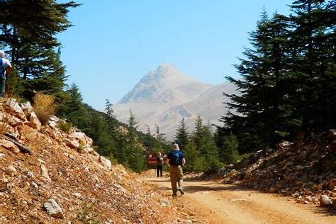 yurtdisi-seyahatlerinde-pasaport-sureci-ve-gereklilikleri-nelerdir