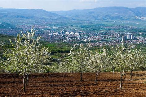 en-populer-vizesiz-turlar-nereye-yapilir