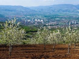 en-populer-vizesiz-tur-paketleri