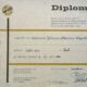 yurtdisi-diploma-danismanligi