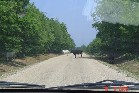 arnavutluk-ta-otel-ve-pansiyon-secenekleri