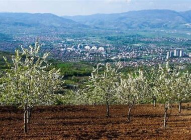 en-populer-vizesiz-tur-firsatlari