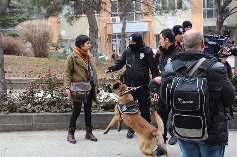 yurtdisi-universite-hayati-deneyimleri