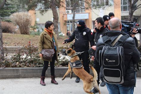 yurtdisi-universite-basvuru-sureci