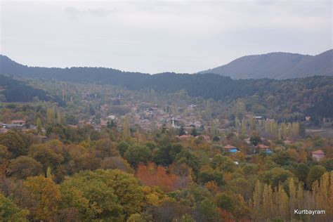 yurtdisi-lise-degisimi-hizmetleri-ve-imkanlari