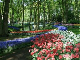 keukenhof-bahceleri-ziyareti