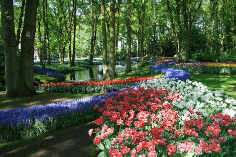 keukenhof-bahceleri-ziyareti