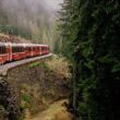 interrail-ile-seyahat-ederken-dikkat-edilmesi-gerekenler